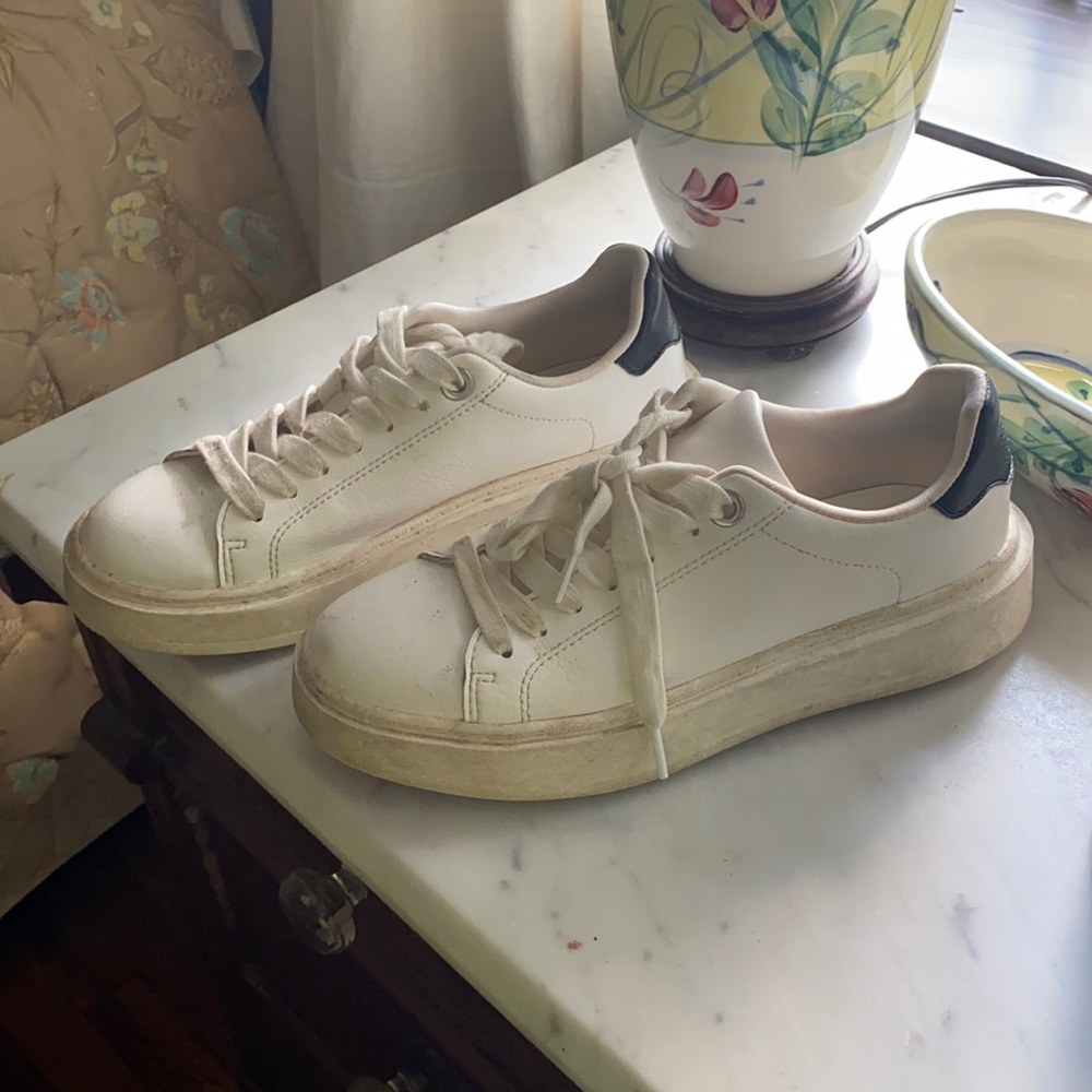 Steve Madden sneakers